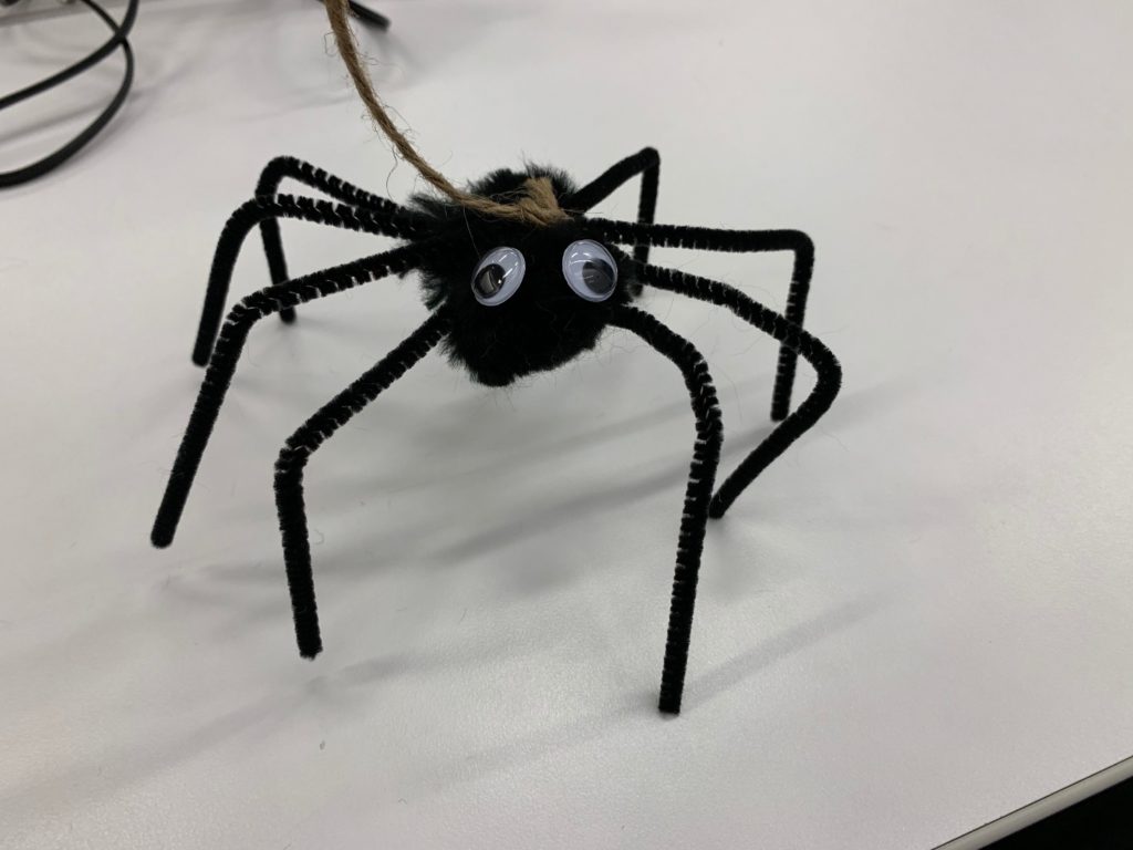 Spider